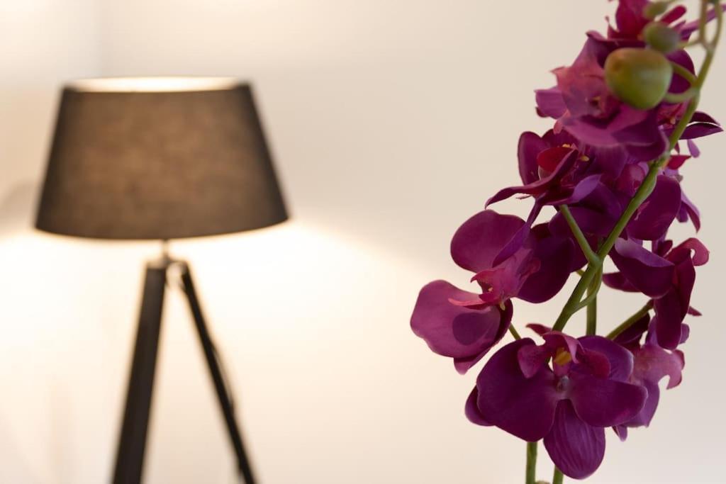 La Cambuse Topdestination-Bourg - Centre Ville - Classe 3 Etoiles Екстериор снимка